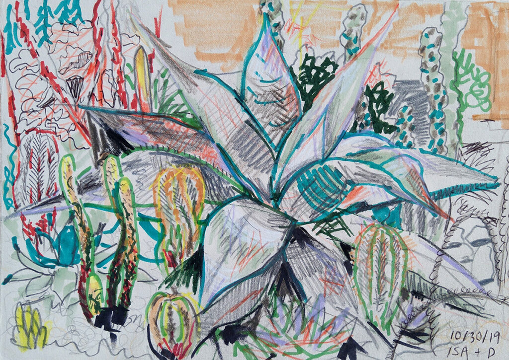 Mixed media drawing by artist Isa Rodriguez and Dylan Cale ones showing a large agave surrounded by cactus of different shapes and sizes.